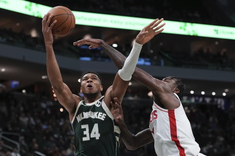 丽马致力于 丽马致力于